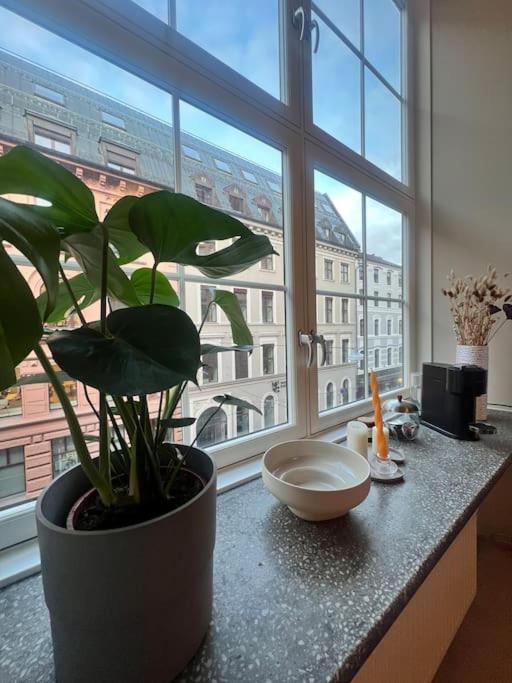 Koselig Leilighet I Sentrum Av Oslo Med Byutsikt! Dış mekan fotoğraf