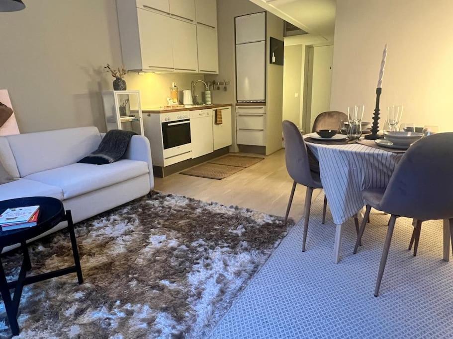 Koselig Leilighet I Sentrum Av Oslo Med Byutsikt! Dış mekan fotoğraf